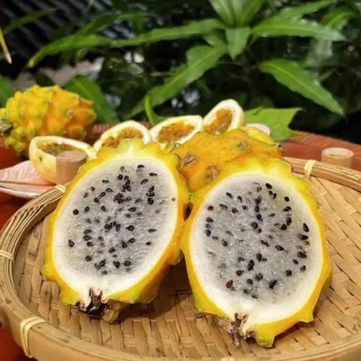 三亚燕窝果各大平台一件代发