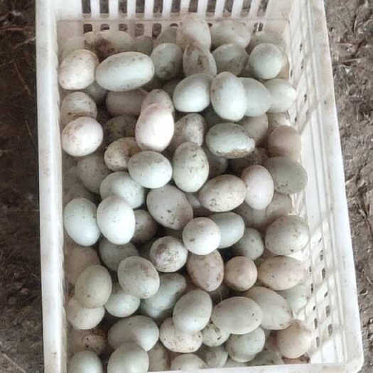 武汉鲜鸭蛋腌鸭蛋