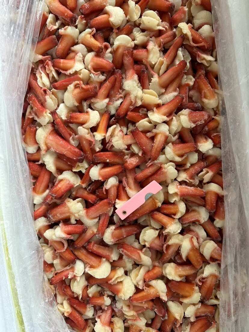 原汁北极贝原汁兰花蚌刺身食材三文鱼拼盘伴侣食材海鲜自助食材