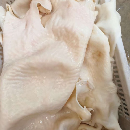 漯河羊皮