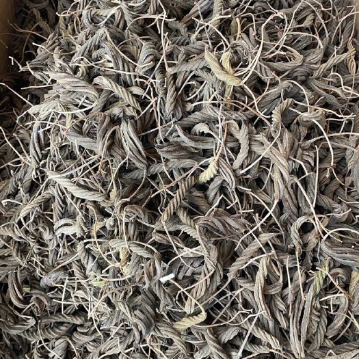 昆明青芷松蓝500克虫草王