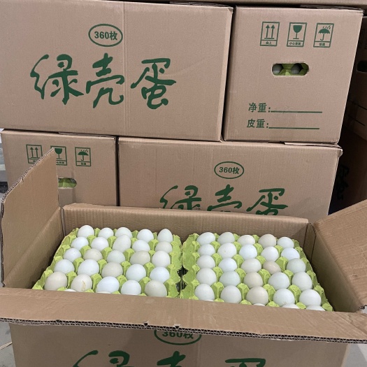 红安县精品绿壳蛋