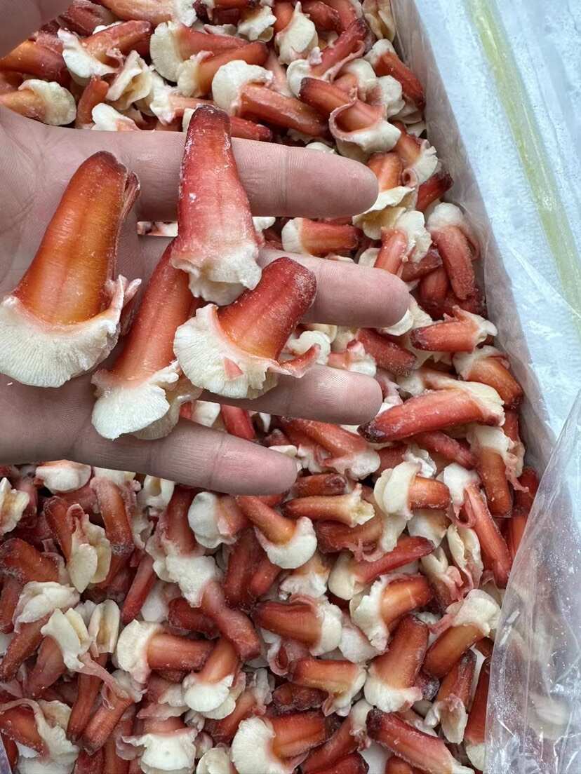 原汁北极贝原汁兰花蚌刺身食材三文鱼拼盘伴侣食材海鲜自助食材