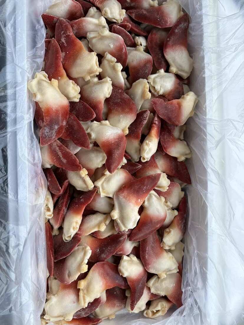 原汁北极贝原汁兰花蚌刺身食材三文鱼拼盘伴侣食材海鲜自助食材