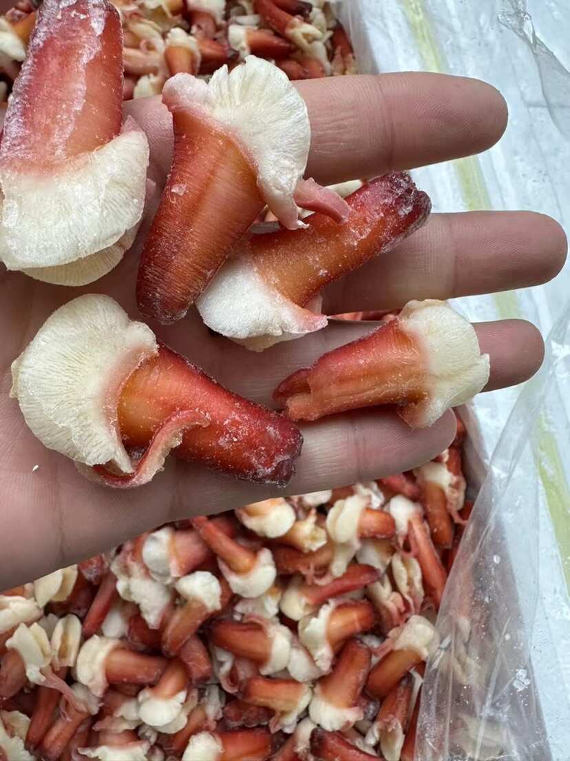 原汁北极贝原汁兰花蚌刺身食材三文鱼拼盘伴侣食材海鲜自助食材