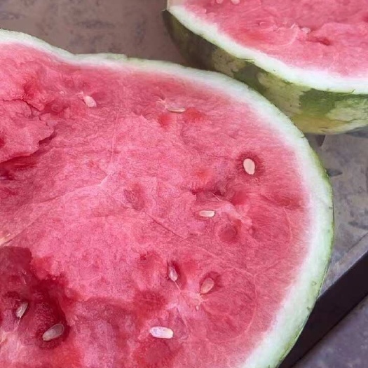 无籽麒麟自生苗，大量上市，保证质量