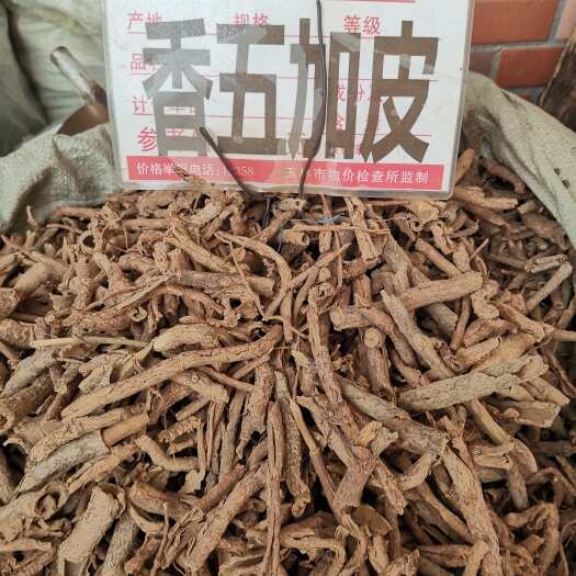 玉林【香五加皮】中药材香料香五加五加皮五加皮根五加皮粉食