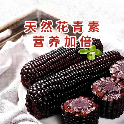 黑糯玉米
每箱10根