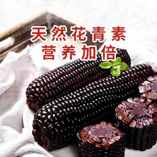 伊通县黑糯玉米
每箱10根