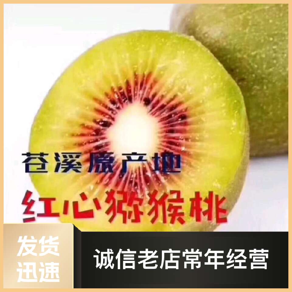 红心猕猴桃苗,嫁接苗,原产地培育直发,品种保证。