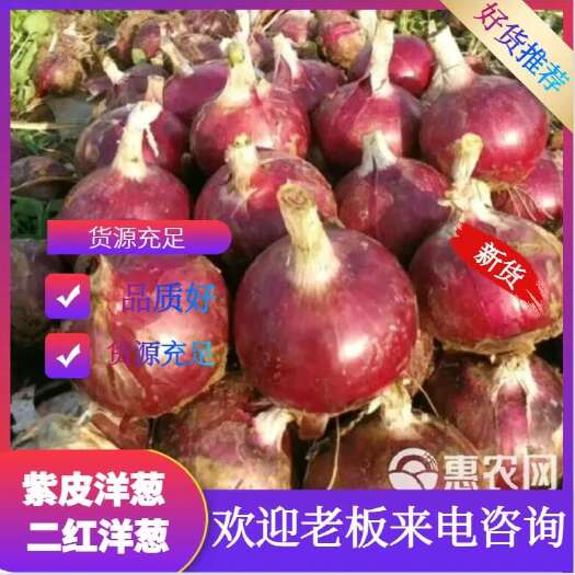  洋葱
