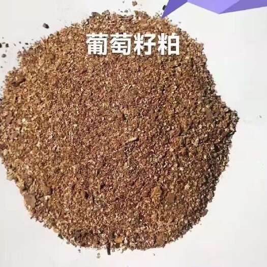 巨鹿县葡萄籽粕：蛋白13，适用牛羊料，水产料，禽料