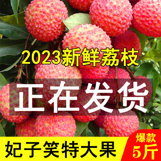 2024荔枝妃子笑新鲜当季水果非桂味白糖罂黑叶现摘整箱批