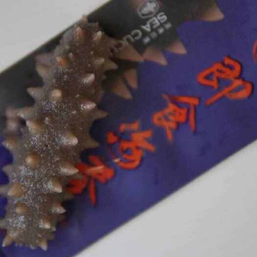 霞浦县福建霞浦即食海参500g 大号/特大号可选