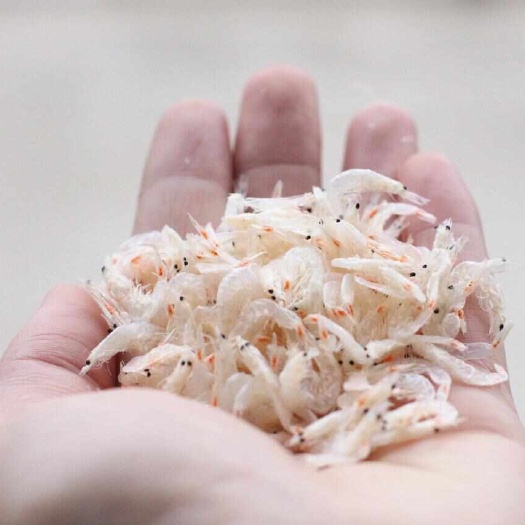 霞浦县【新货回归】霞浦精品水晶虾皮，淡干大虾皮250g