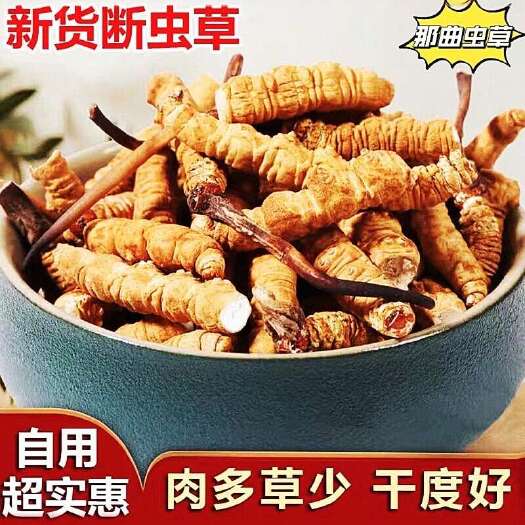 拉萨西藏那曲虫草断草冬虫夏草批发虫草大断草纯肉节肉体自用实惠