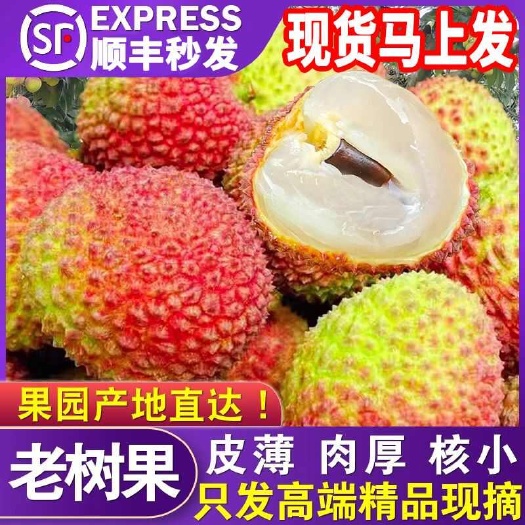 三亚海南万宁妃子笑荔枝新鲜采摘 发货 直供果园
