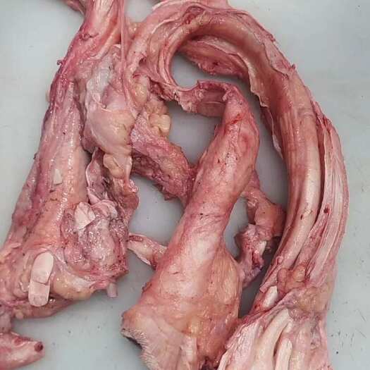 汕头牛筋
