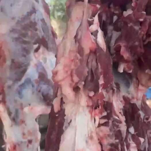 阳信县牛肉  ， 牛排   ，纯干牛肉。
