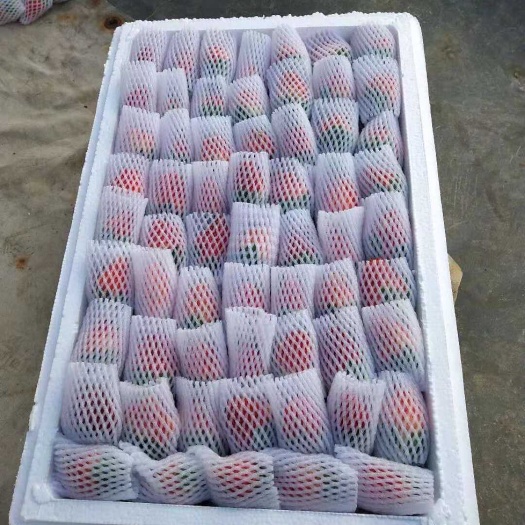 巧家县云南夏季双流草莓