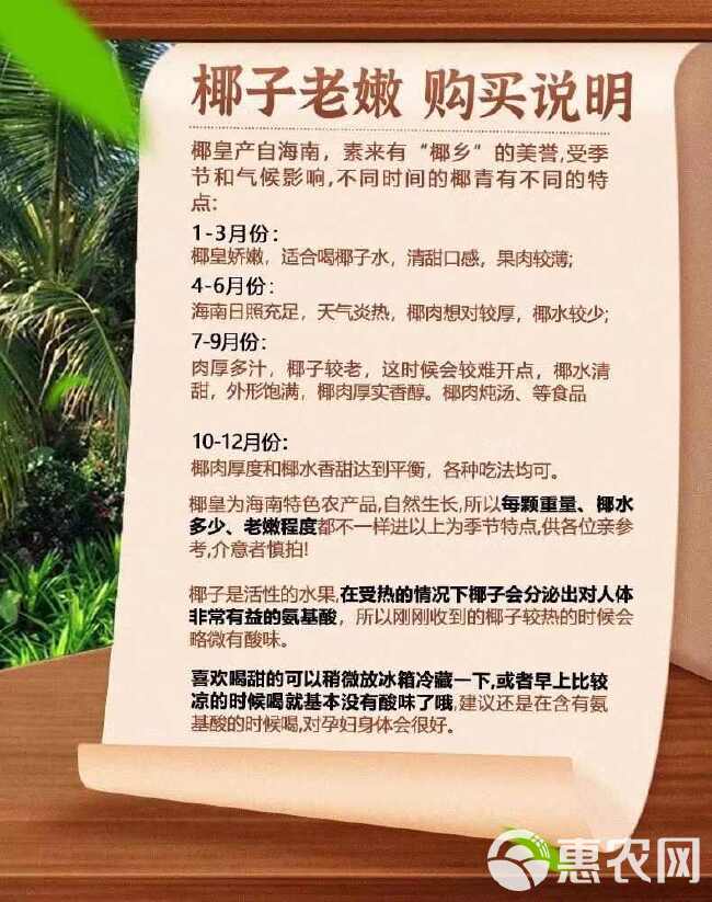 【—件代发】海南牛奶椰皇新鲜椰子当季水果椰香浓郁现摘整箱批发