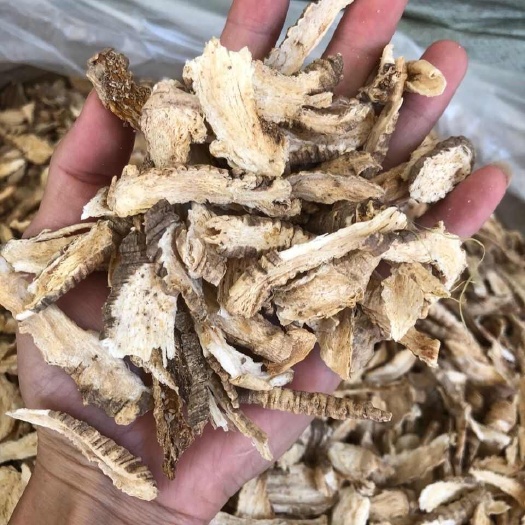 山海螺 正品无硫山海螺【假一赔十】