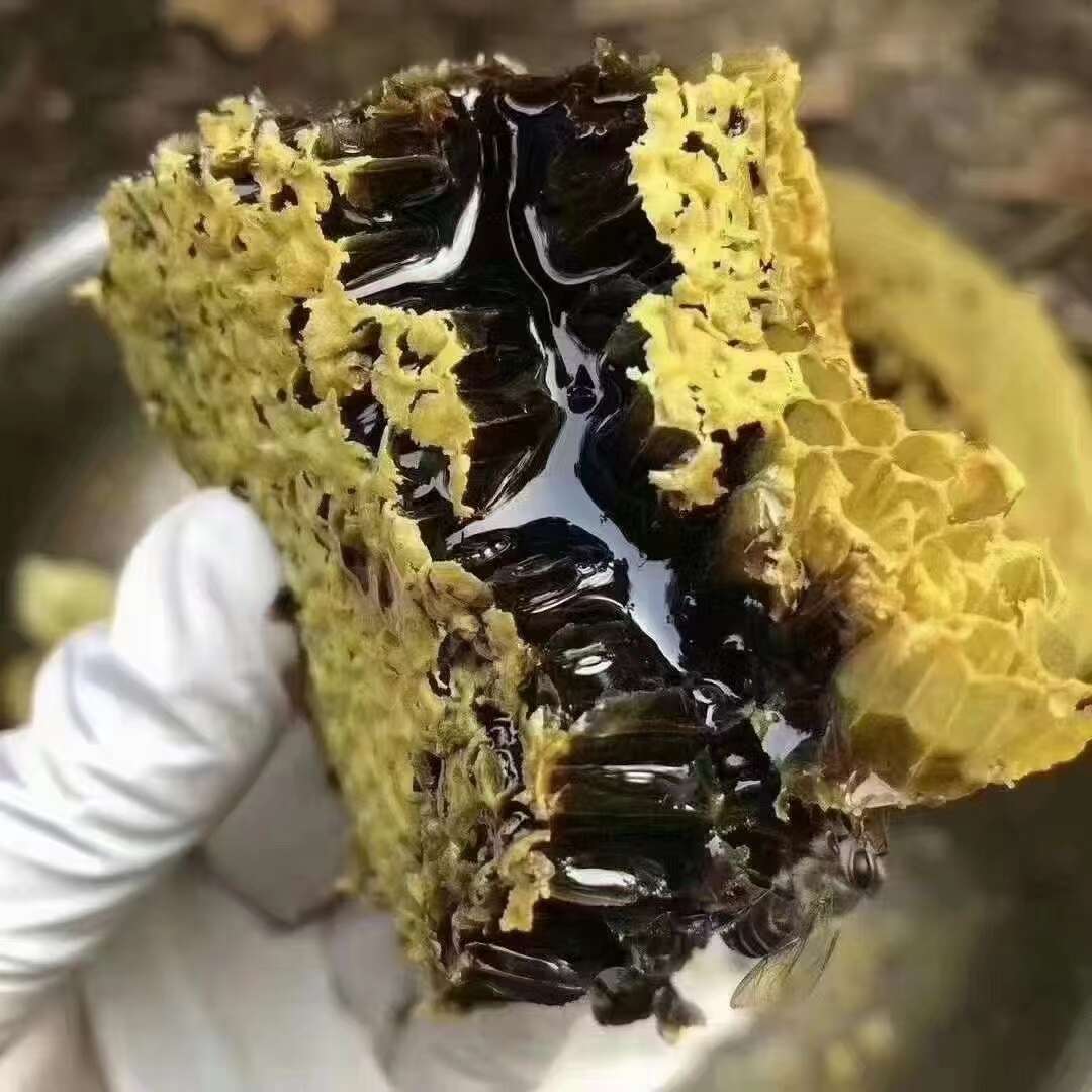 云南黑蜂蜜冲水什么颜色(黑蜂蜜颜色深的好还是浅色的好)