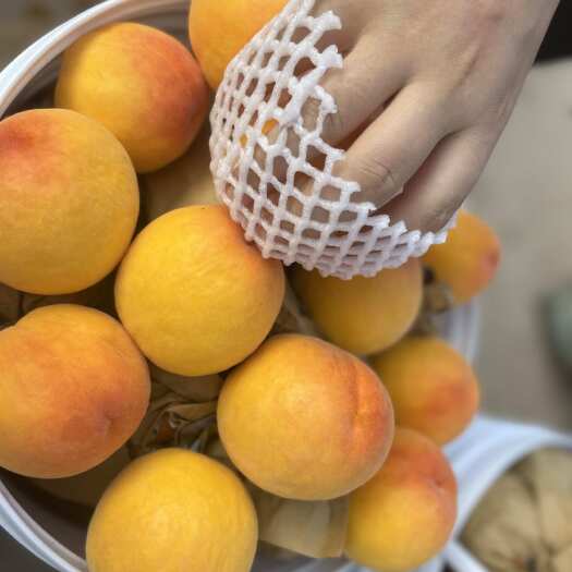  锦绣黄桃