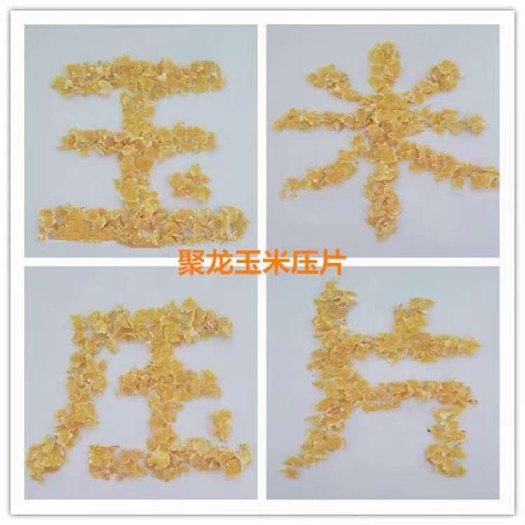 石家庄玉米压片