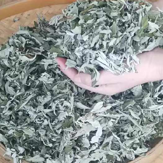 蕲春县艾叶，蕲艾，养生，能驱蚊，能去室内异味。