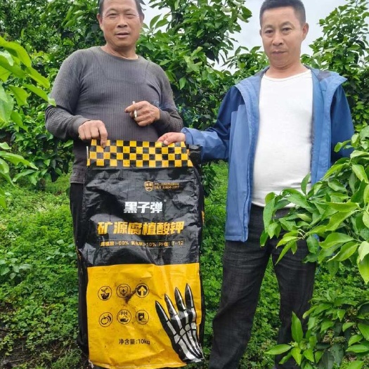 伊吾县新疆五易生黑子弹矿源黄腐酸钾  黑子弹矿源腐植酸钾