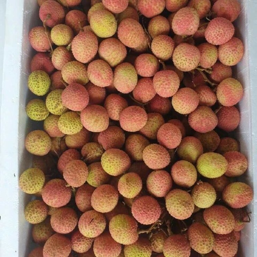 百色三月红