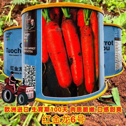 拖车头品种红金龙6号胡萝卜种子红色宝马三系杂交胡萝卜种子