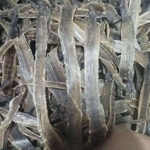 靖西市广东龙，