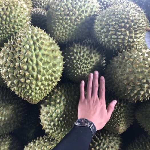 干尧