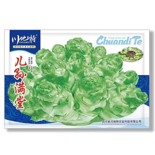 沭阳县儿孙满堂四川儿菜种子早熟抱子芥娃娃菜胖儿子菜冬秋季庭院蔬菜子