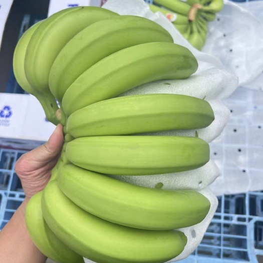 太仓市精品青蕉，品质邦邦硬，无黑皮无软肉无裂口，保质保量全国可发