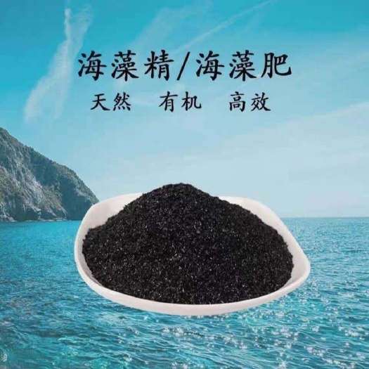 郑州厂家现货供应海藻精水溶性叶面肥
