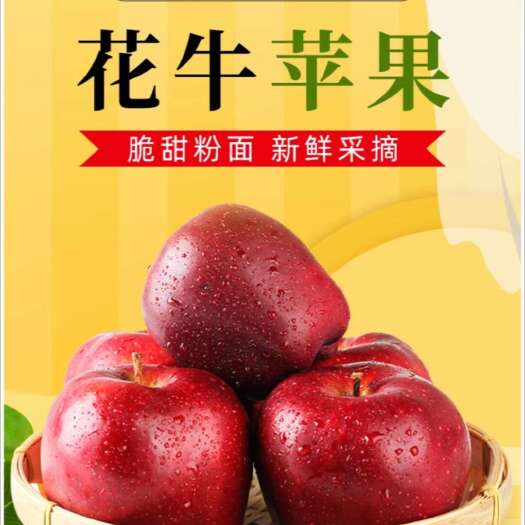 庄浪县庄浪花牛 粉甜口味 是个老人和宝宝