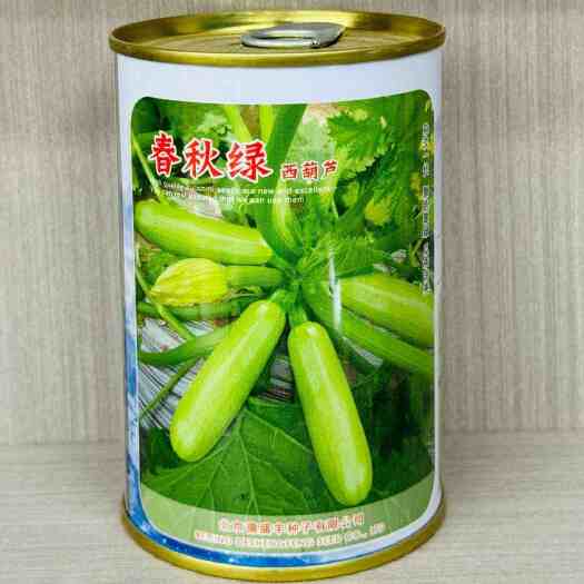 南京春秋绿西葫芦种子四季绿皮西葫芦种籽抗病春秋季节种子瓜种籽