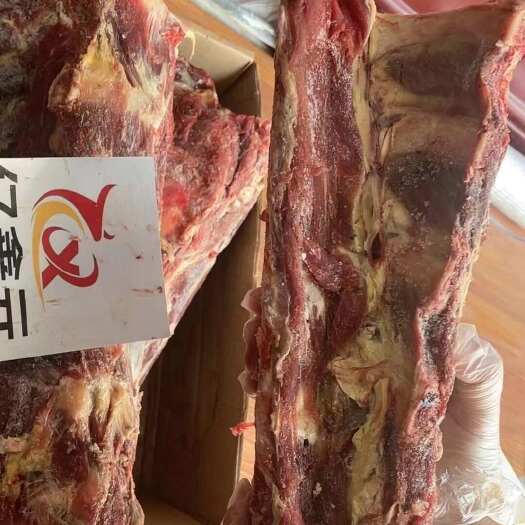 阳信县肩胛骨 牛肉多多 保质保量 价格便宜