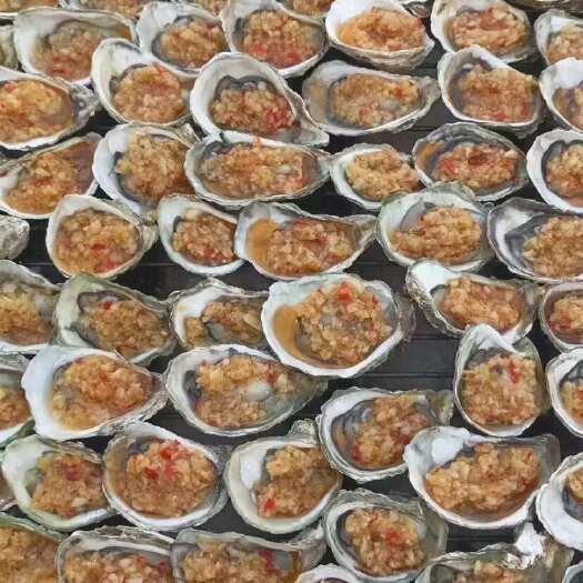 饶平县鲜活带壳生蚝批发商用摆摊全壳牡蛎新鲜水产一整箱50斤100