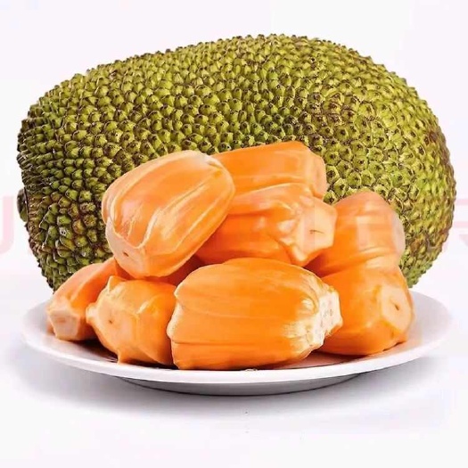 陵水县印红5号红肉菠萝蜜热带水果现摘新鲜整箱一整个包邮