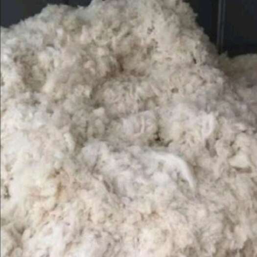 羊毛