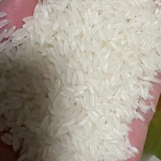 宿迁丰良优 茉莉香米 籼米 油粘米