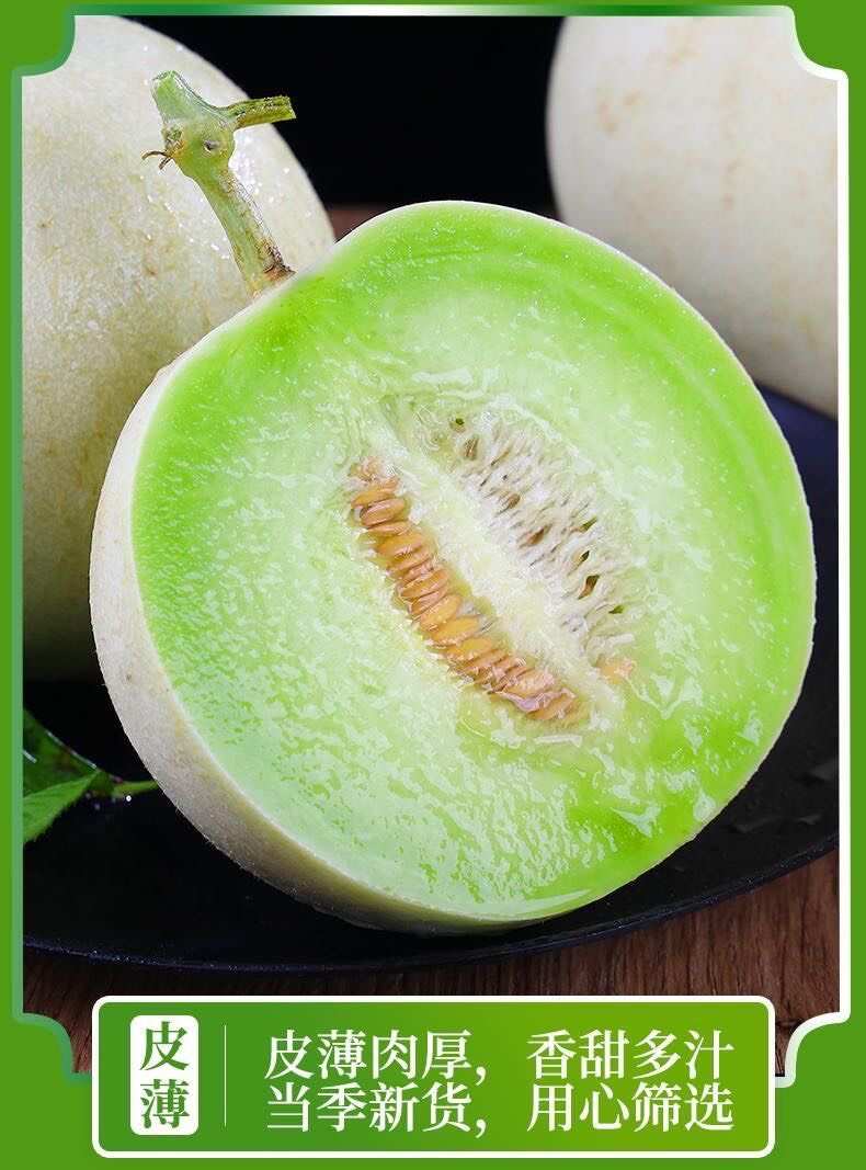 山东聊城玉菇甜瓜