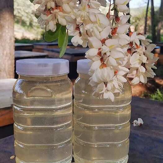 上蔡县槐花蜜