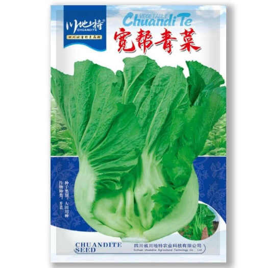 正品原装宽帮青菜种子腌渍泡菜酸菜腌菜四川芥菜大叶高产蔬菜种子