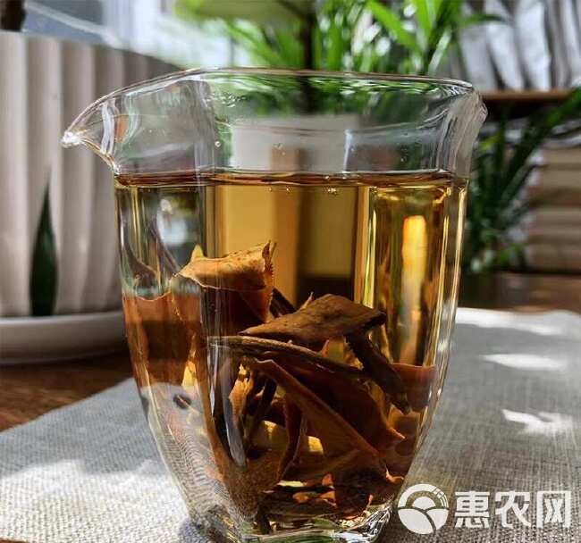 云南高海拔月光白茶荒野白茶白毫银针大白毫百年古树老树月光美人