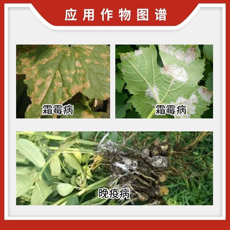 巴斯夫德劲47%唑嘧菌胺+烯酰吗啉葡萄黄瓜霜霉病晚疫病农药杀